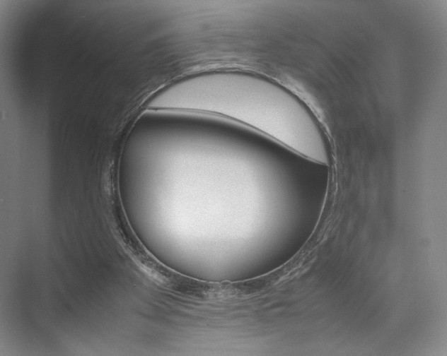 X0000074970105200609011027