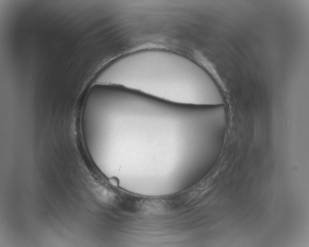 X0000074970106200609011027