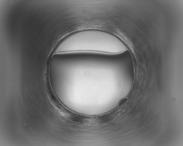 X0000074970107200609011026