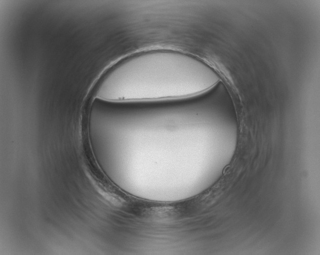 X0000074970108200609011026