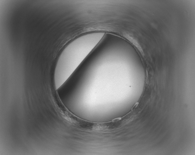 X0000074970109200609011026