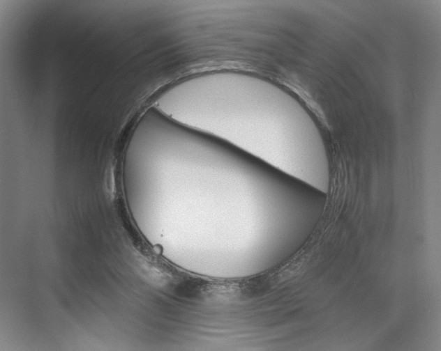 X0000074970110200609011026