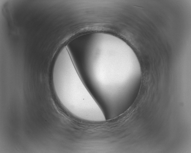 X0000074970111200609011026