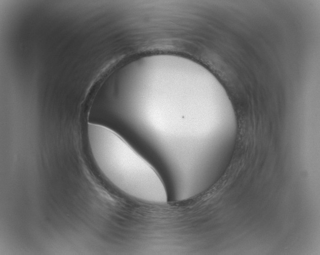 X0000074970112200609011026