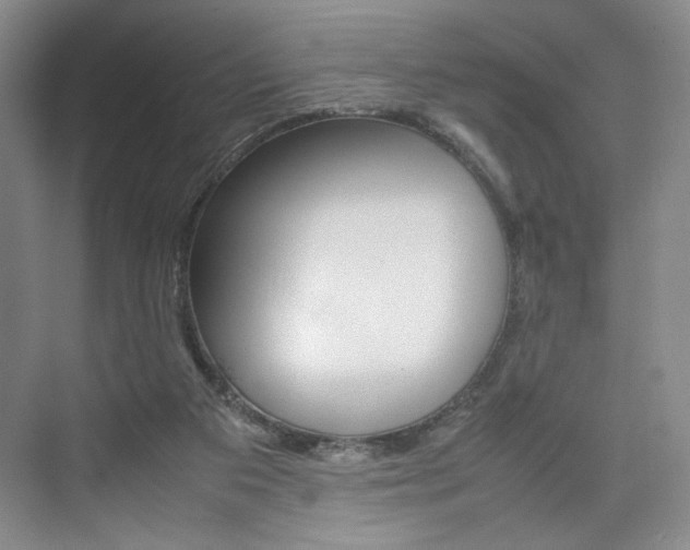 X0000074970113200609011026