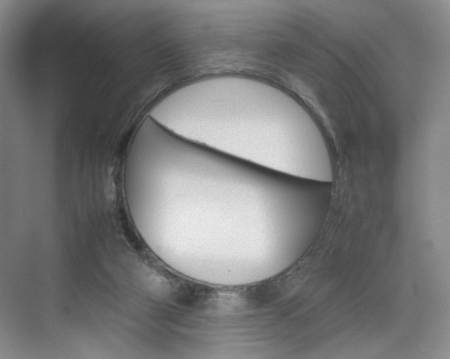 X0000074970114200609011026