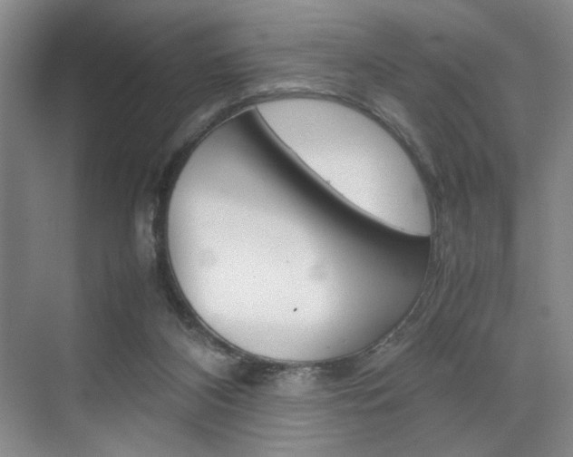 X0000074970116200609011026