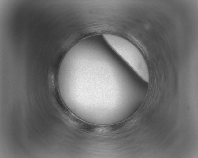 X0000074970117200609011026