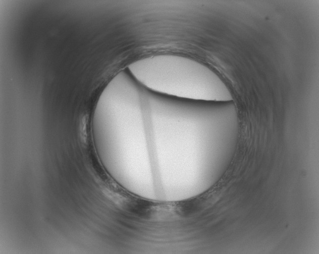 X0000074970118200609011026