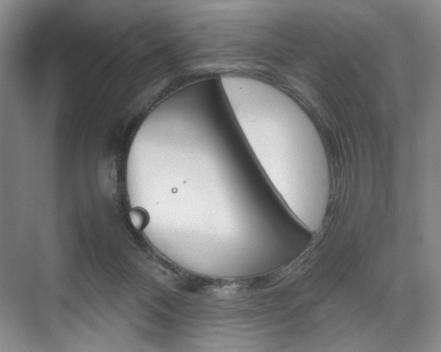 X0000074970120200609011026