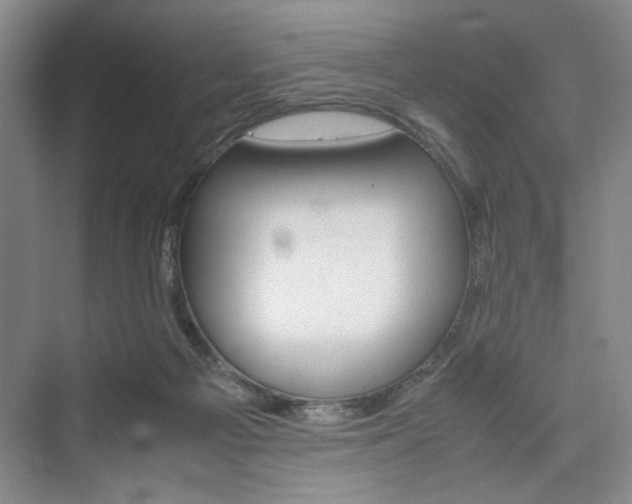 X0000074970121200609011026