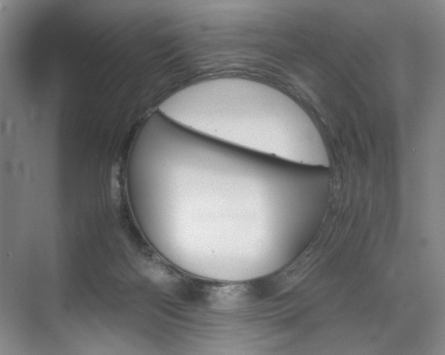 X0000074970122200609011026