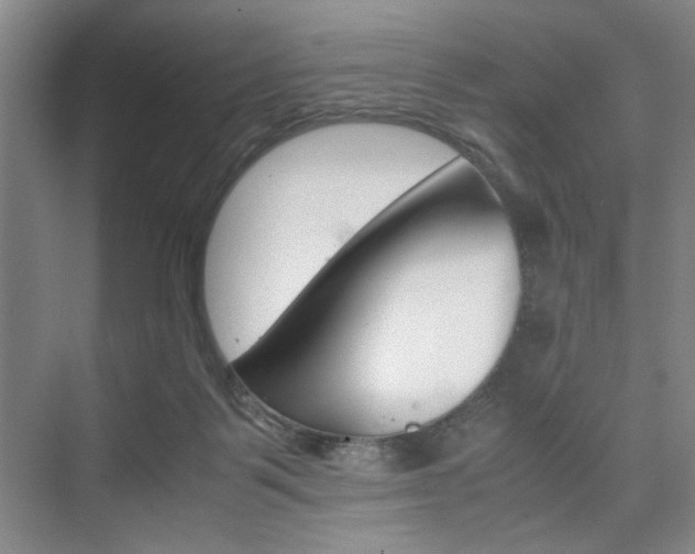 X0000074970123200609011026