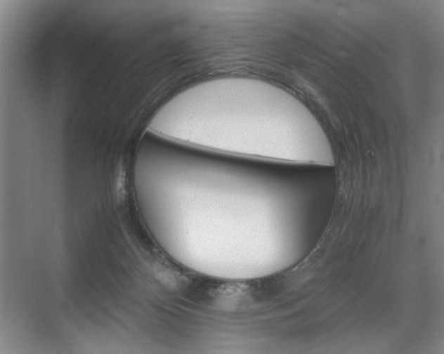 X0000074970124200609011026