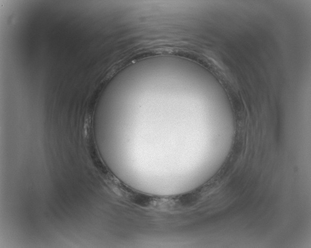 X0000074970125200609011026