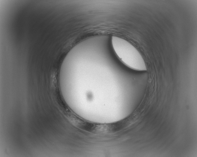 X0000074970127200609011026