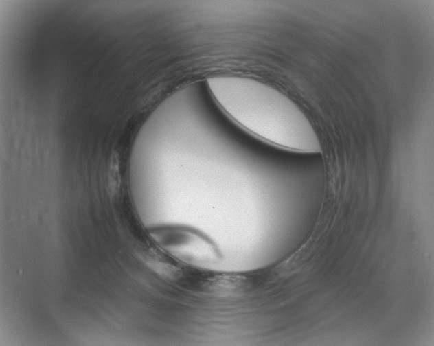 X0000074970128200609011026