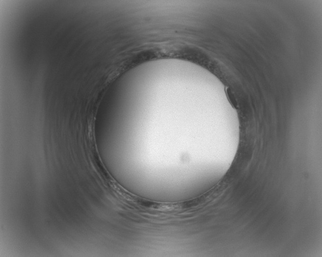 X0000074970129200609011026