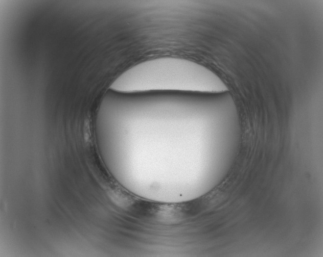 X0000074970130200609011026