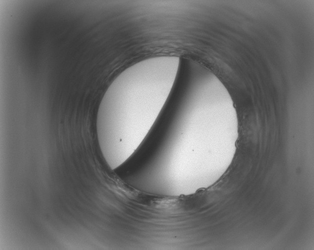 X0000074970132200609011026