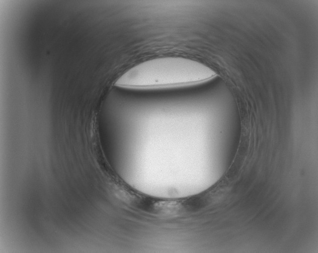 X0000074970133200609011026