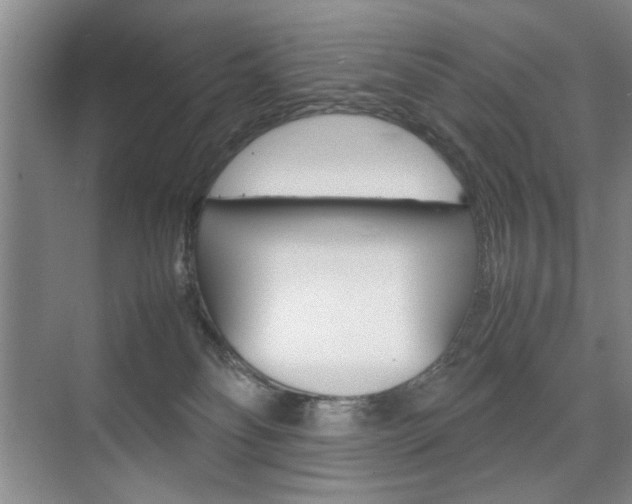 X0000074970134200609011026