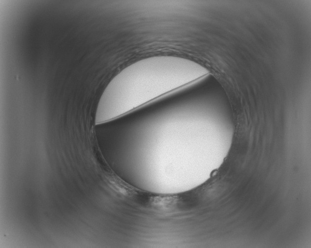 X0000074970135200609011026