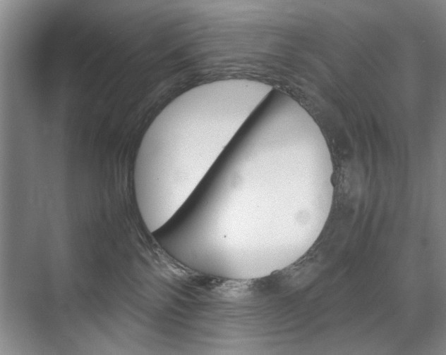 X0000074970138200609011026