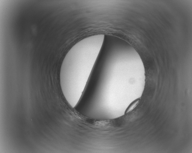 X0000074970139200609011026