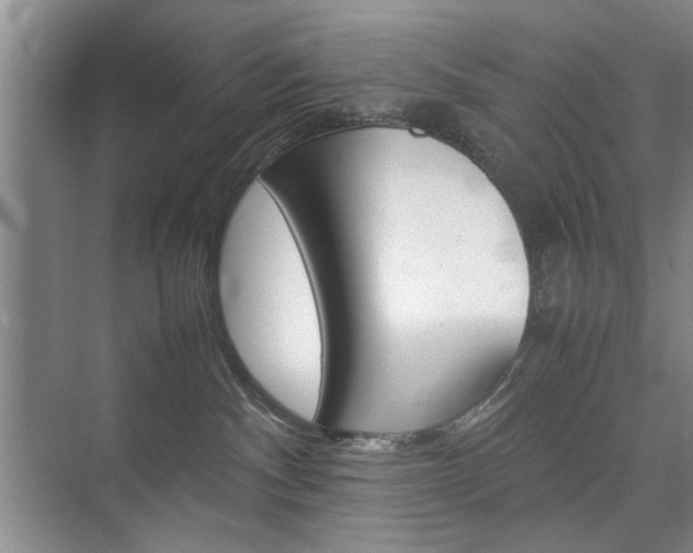 X0000074970140200609011026