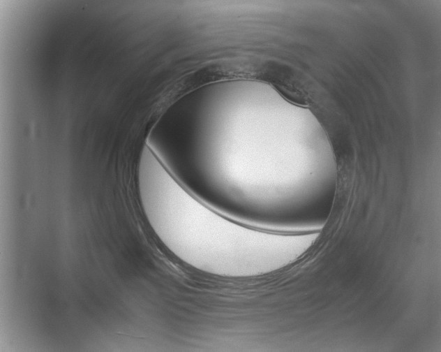 X0000074970141200609011026