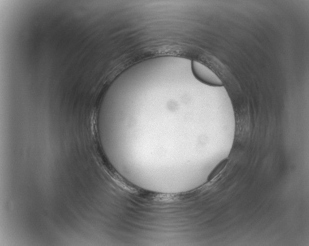 X0000074970142200609011026