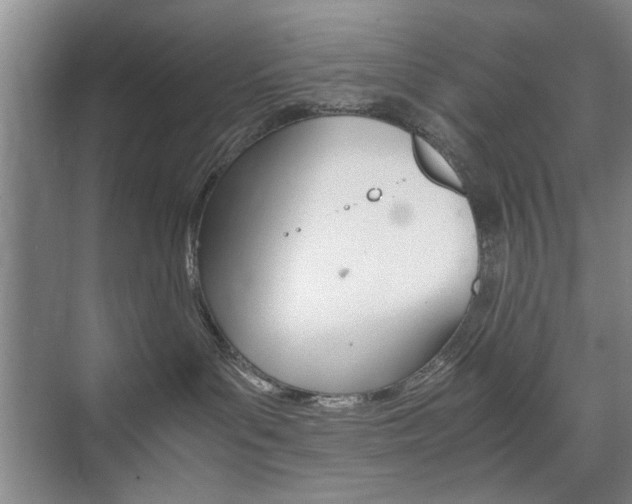 X0000074970143200609011026