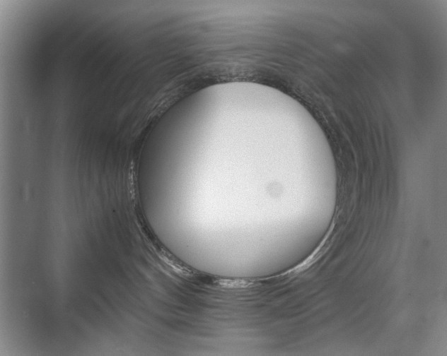 X0000074970144200609011026