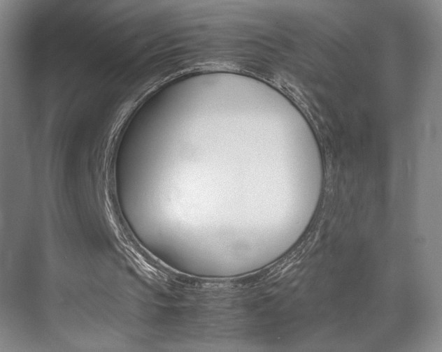 X0000074970145200609011025