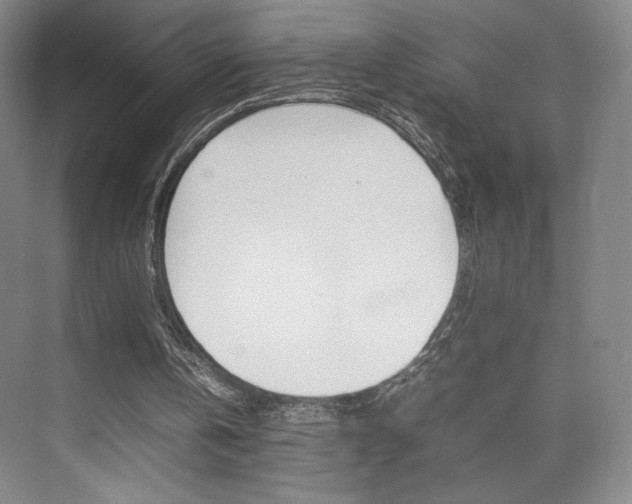 X0000074970146200609011025