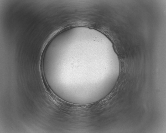 X0000074970147200609011025