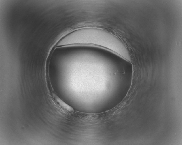 X0000074970148200609011025