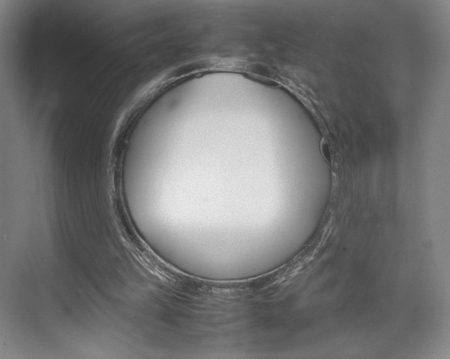 X0000074970149200609011025