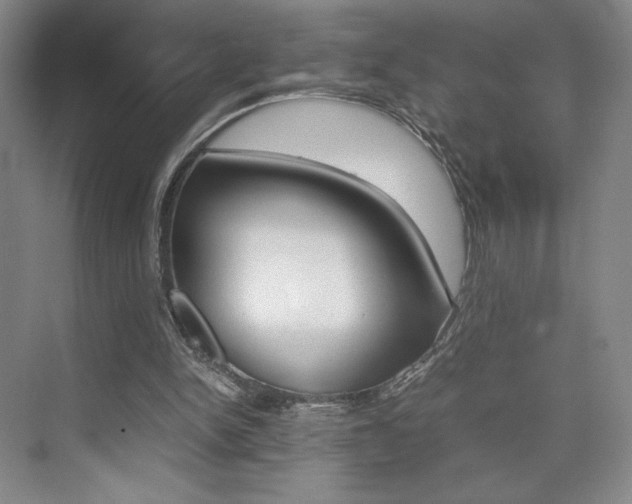 X0000074970150200609011025