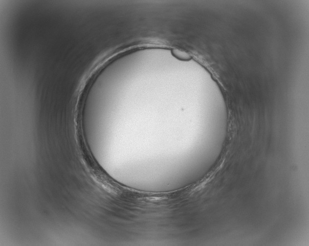 X0000074970151200609011025