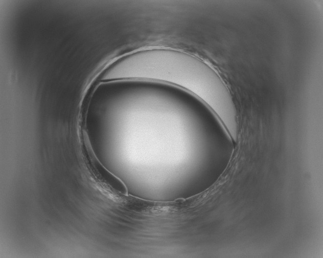 X0000074970152200609011025