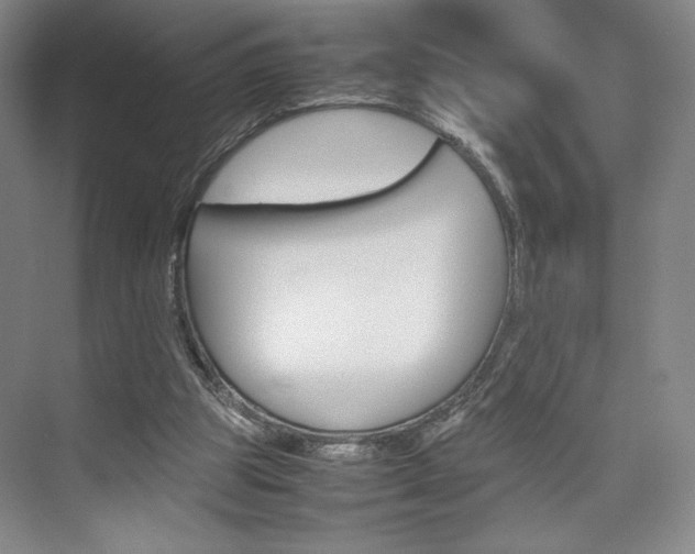 X0000074970153200609011025