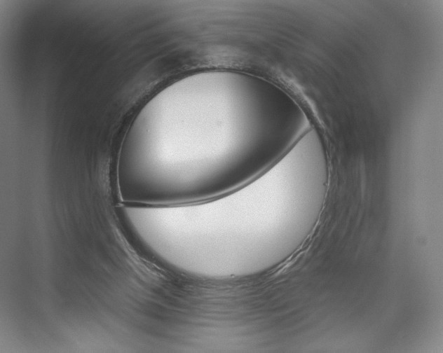 X0000074970154200609011025