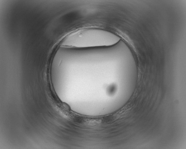 X0000074970155200609011025