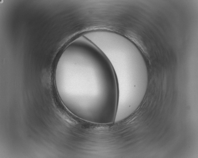 X0000074970156200609011025