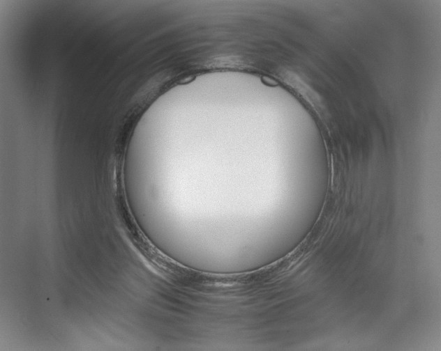 X0000074970157200609011025