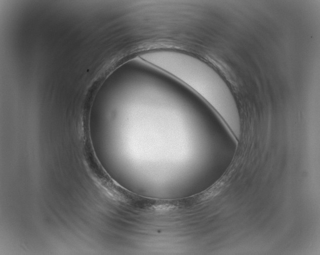 X0000074970158200609011025