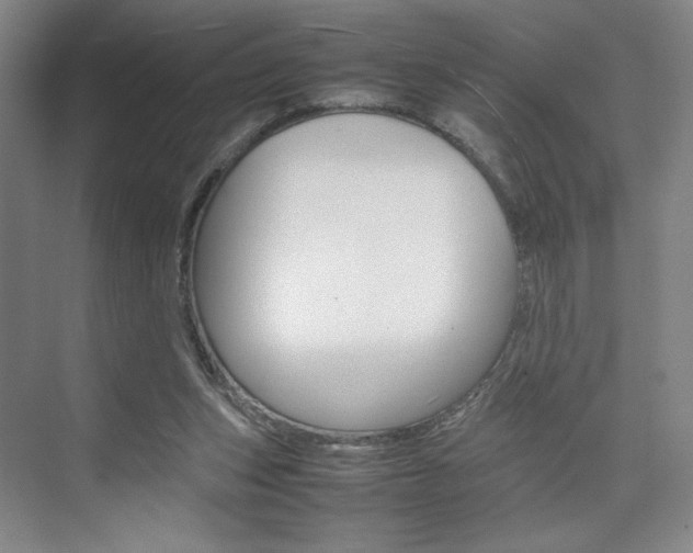 X0000074970159200609011025