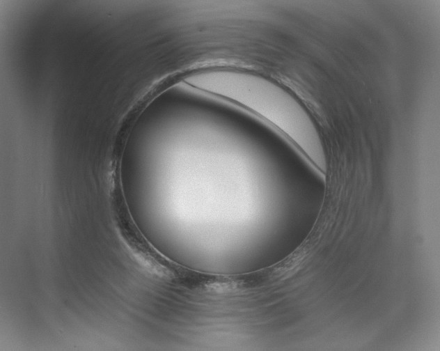 X0000074970160200609011025